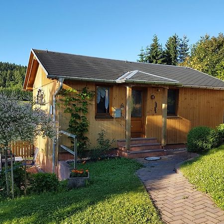 Willa Haus Talsperreneck Stutzengrun Zewnętrze zdjęcie